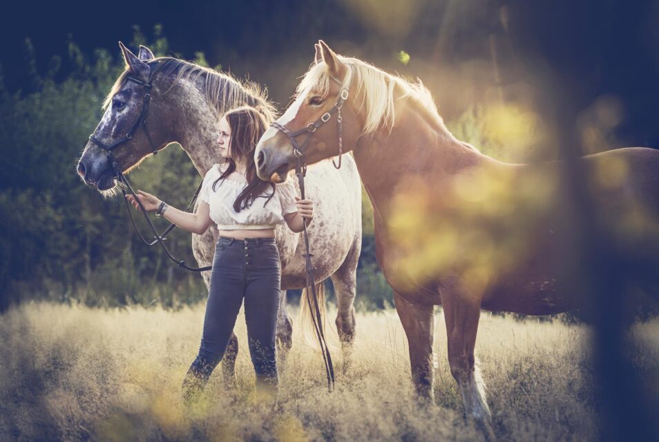 Pferdefotografie Siegen